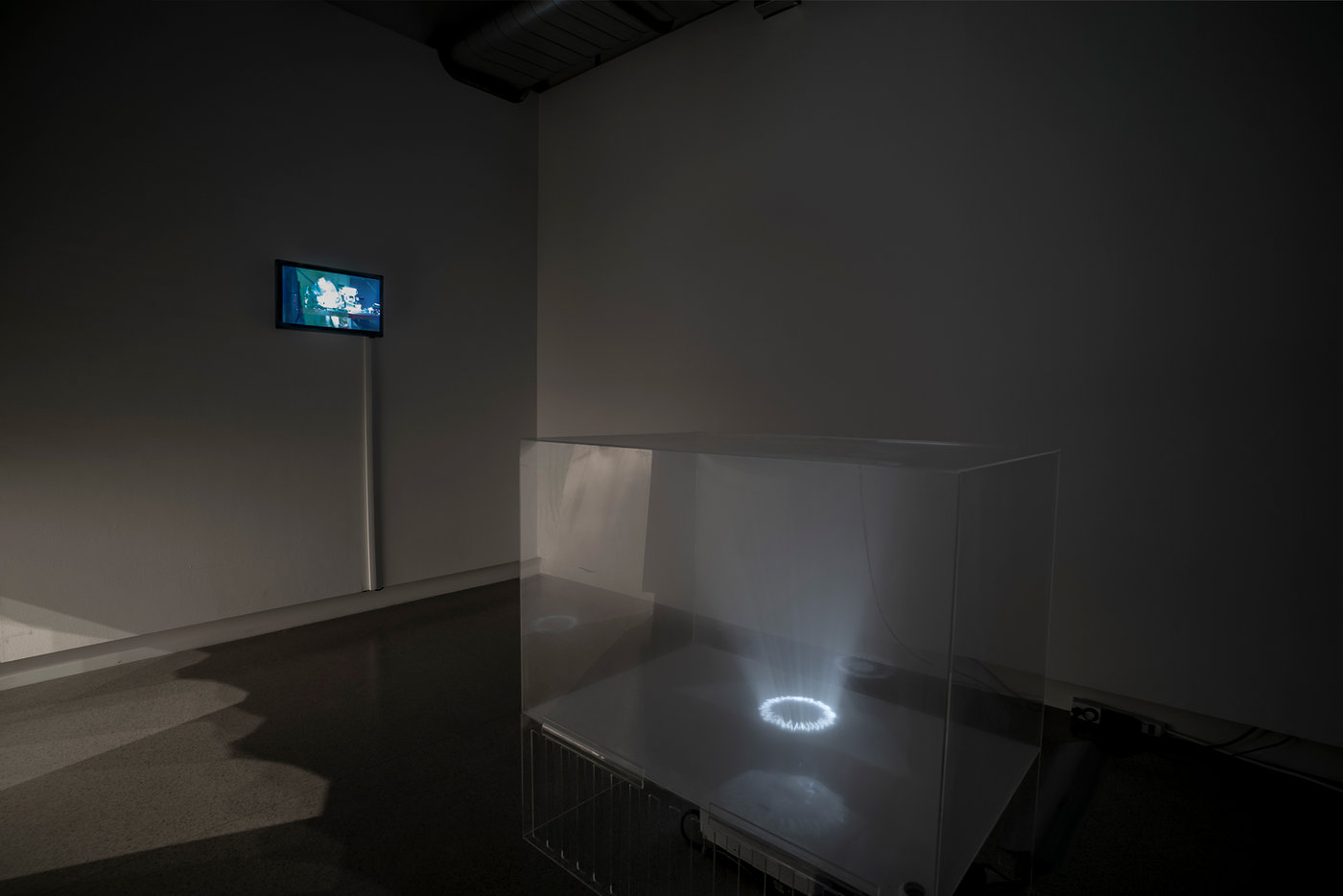 Branching — documentation 2