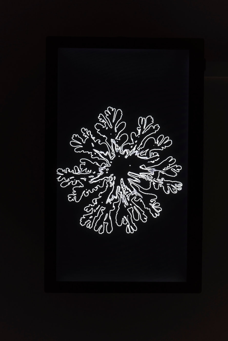 Branching — documentation 5