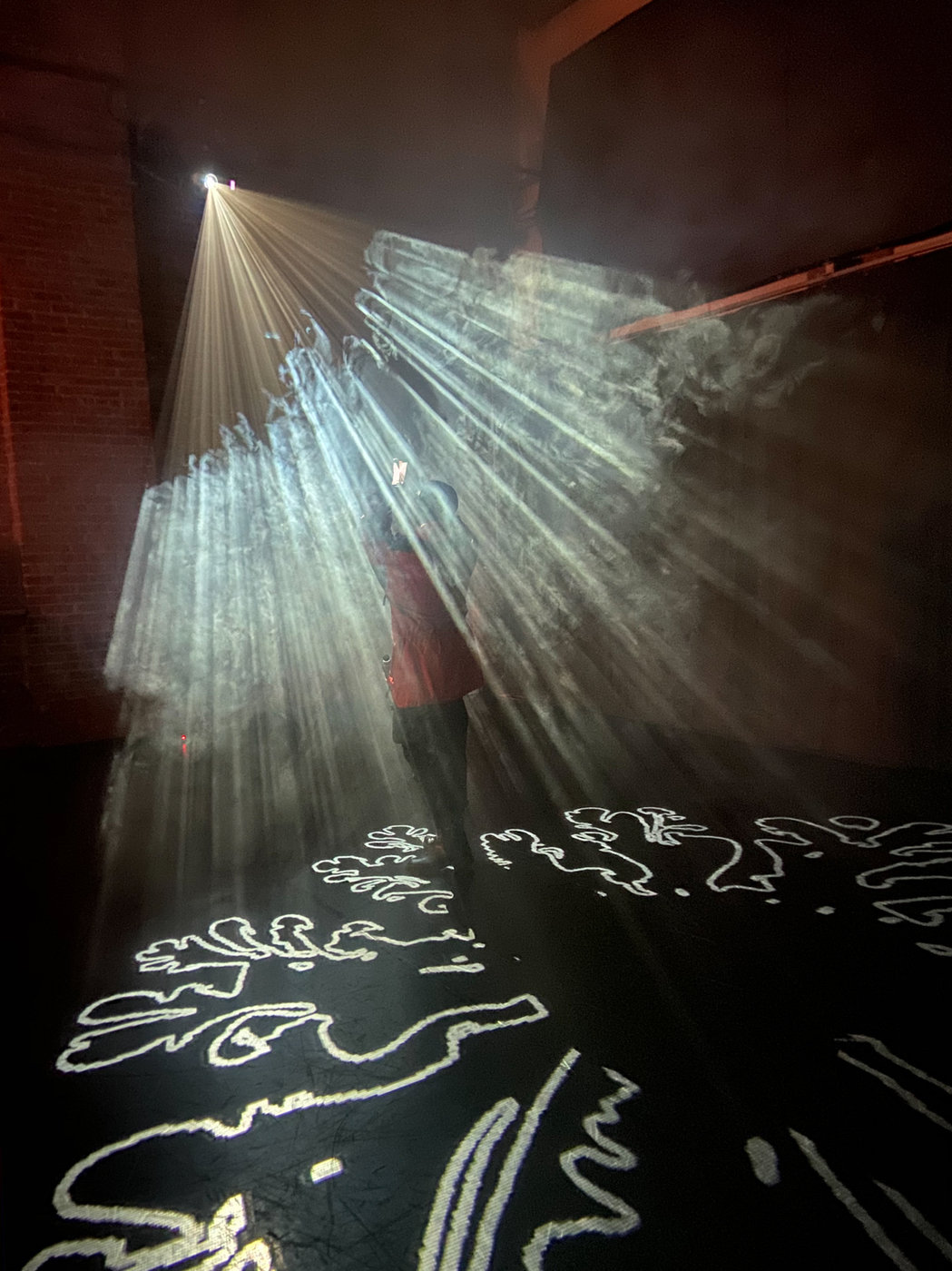 Fluid Growth Through Light — documentation 1