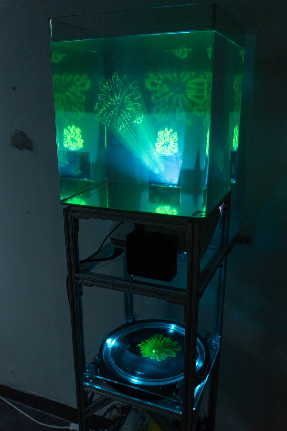 In the Light of Growth — documentation 2