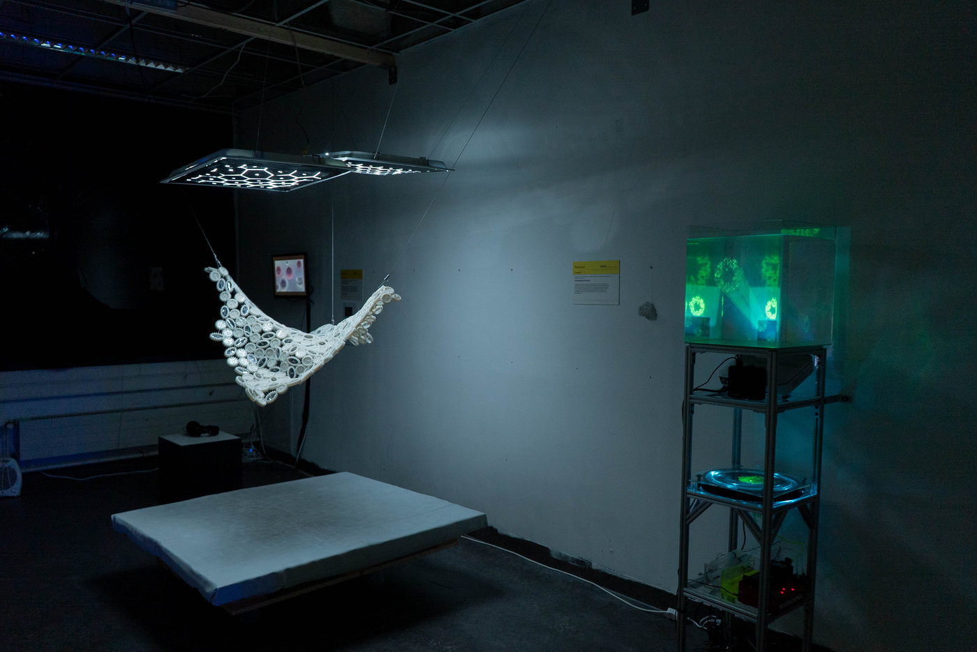 In the Light of Growth — documentation 3