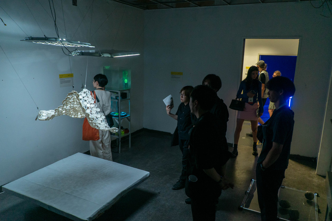 In the Light of Growth — documentation 5