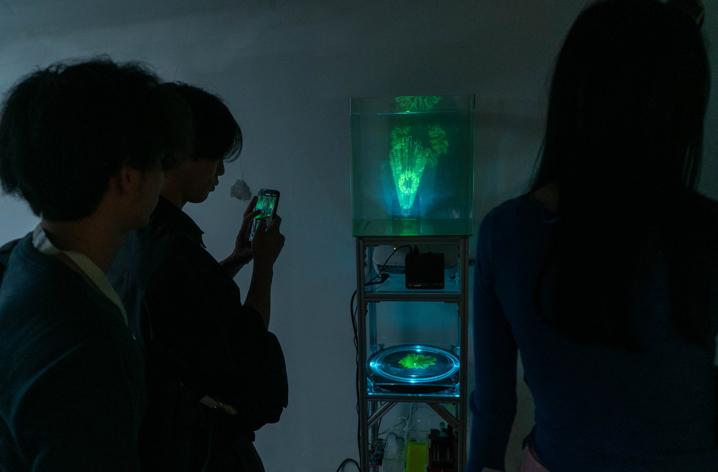 In the Light of Growth — documentation 6