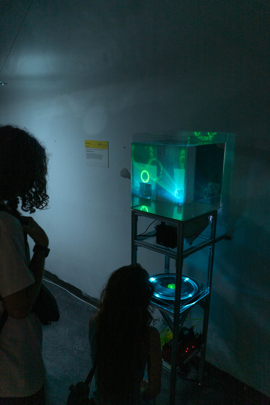 In the Light of Growth — documentation 7