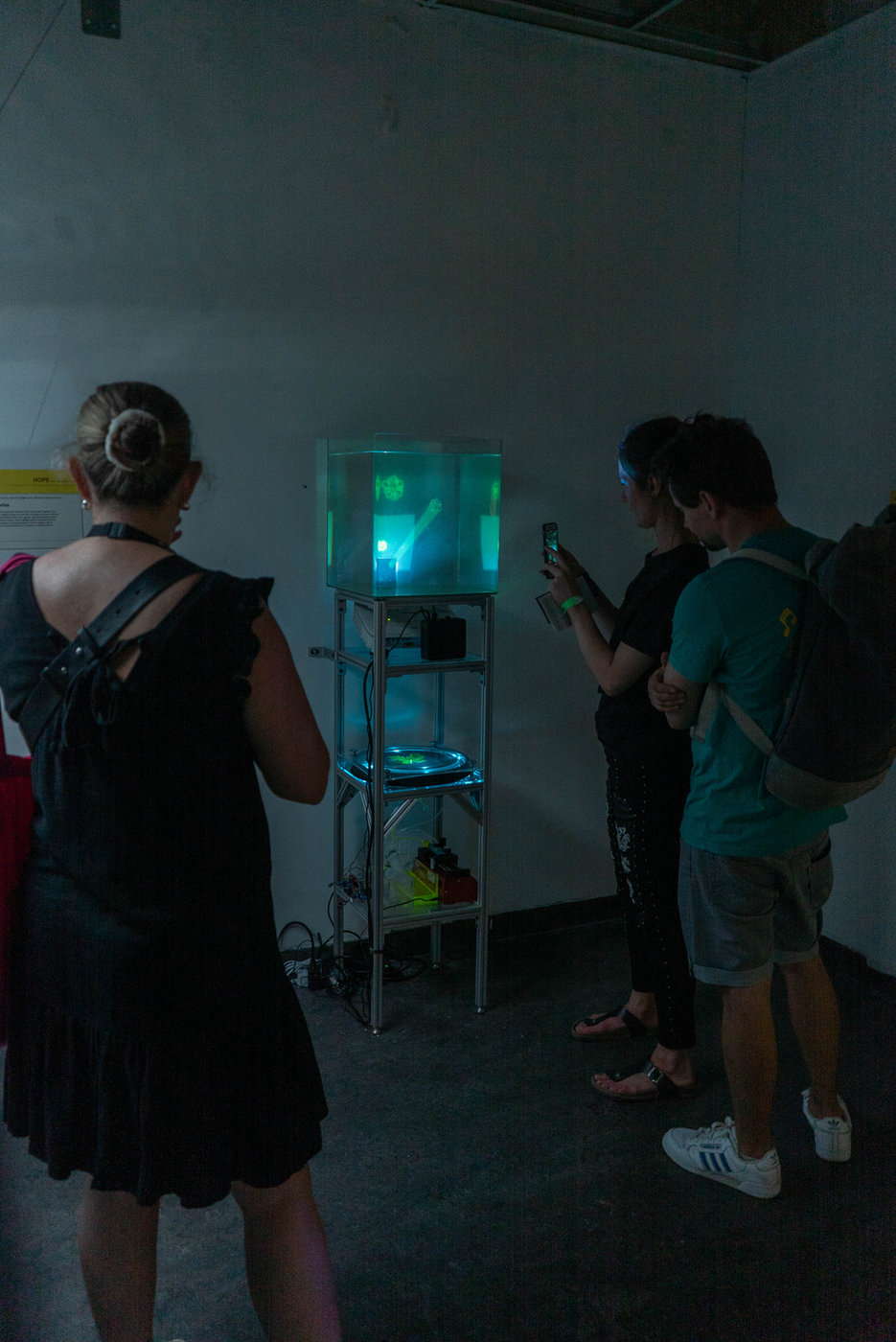 In the Light of Growth — documentation 9