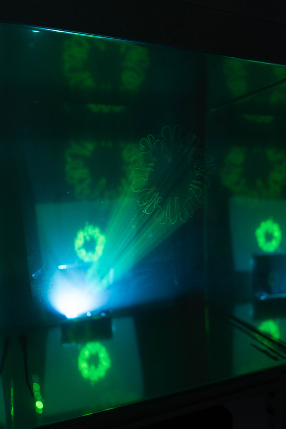 In the Light of Growth — documentation 1