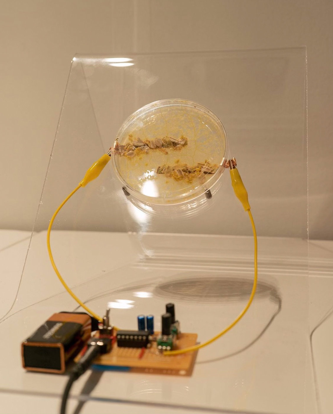SlimeVolt — documentation 1
